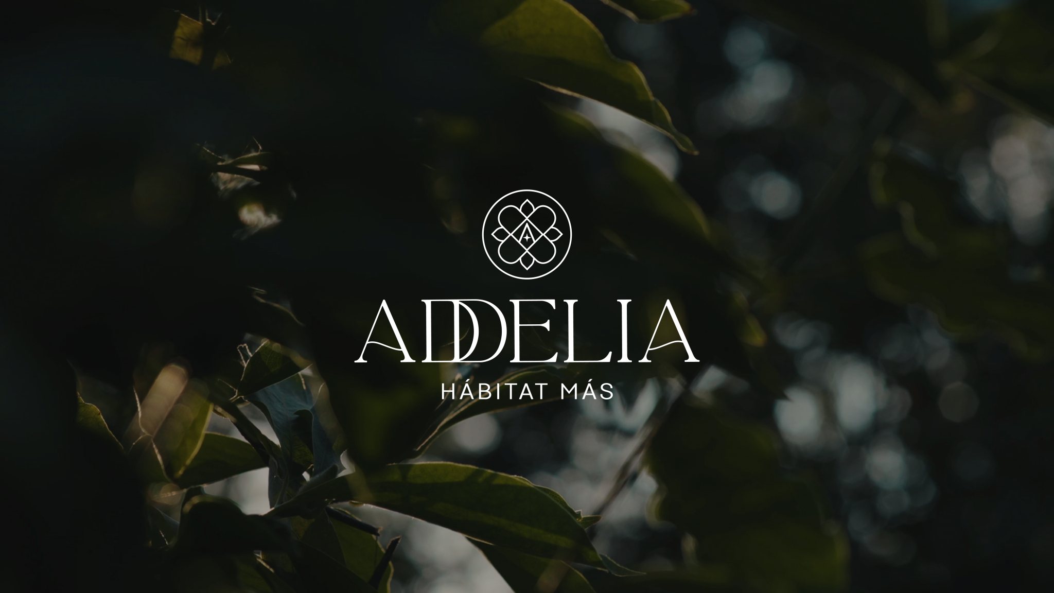 Addelia_White-01