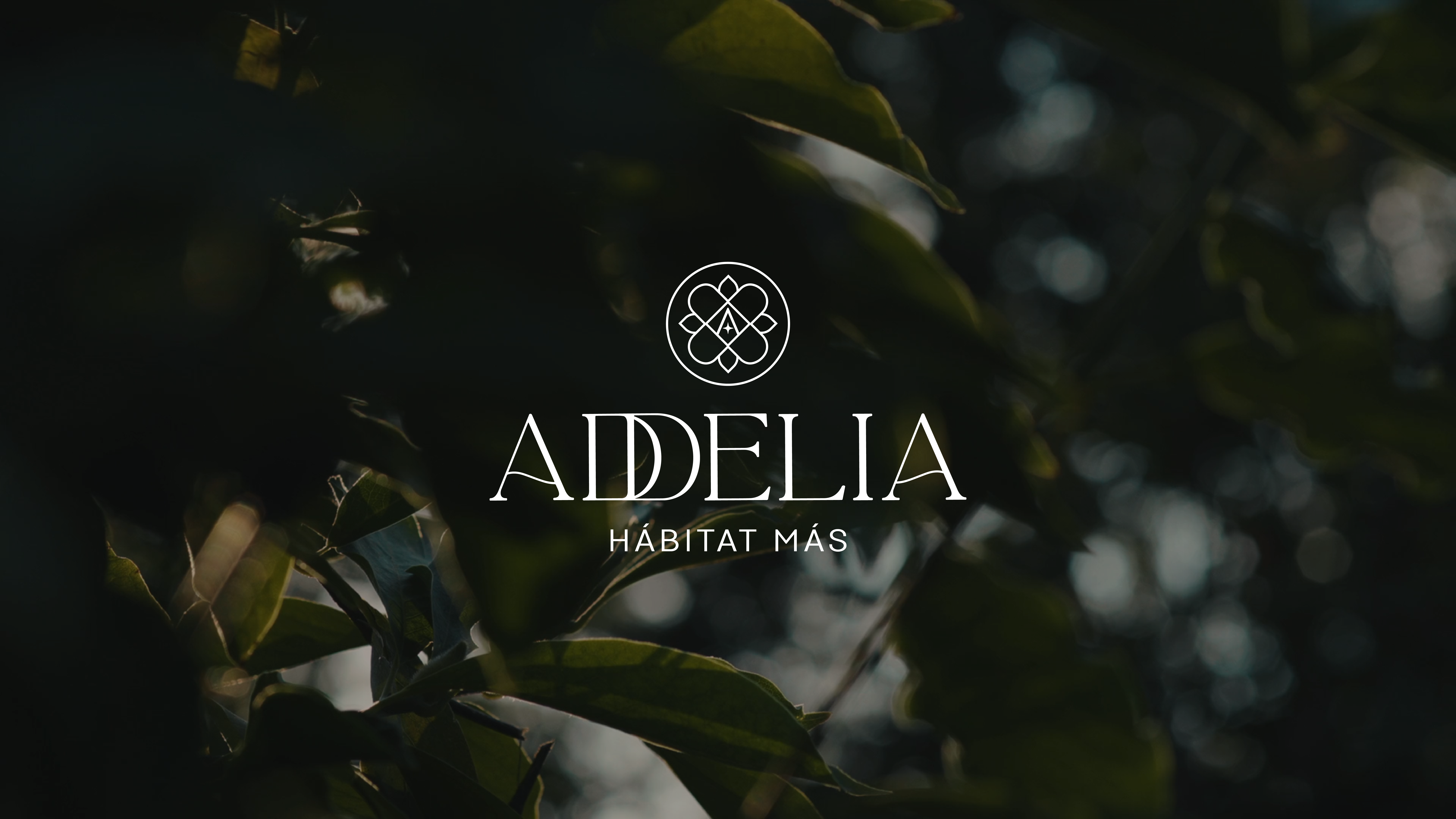 Addelia_White-01