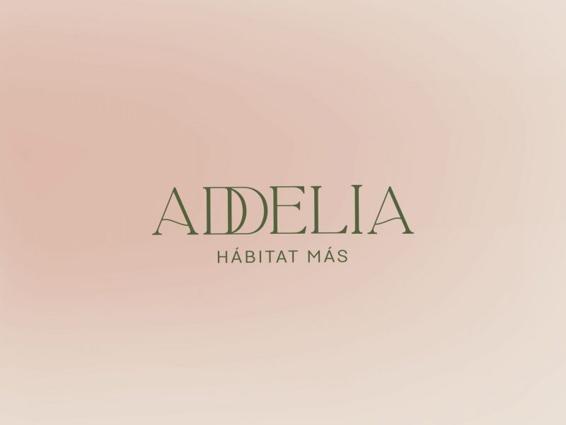 banner_1-01